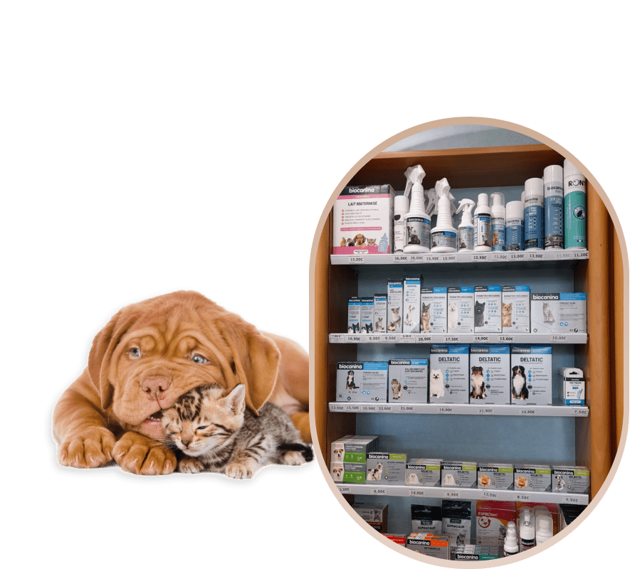 Pharmacie Dimov Pharmacie Farebersviller Produits Veterinaires
